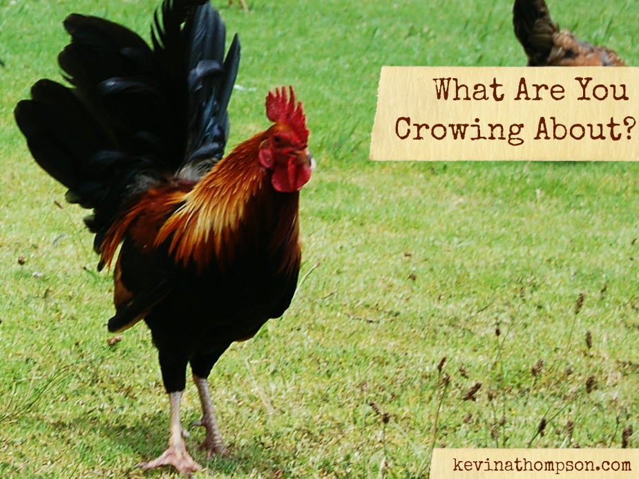 What Are You Crowing About?